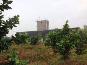 KHÔNG NGƯỜI TRÔNG COI CẦN BÁN NÔNG TRẠI TÂN LẬP 2, TÂN PHƯỚC