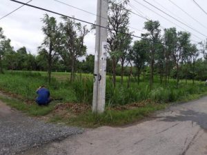BÁN ĐẤT NỀN XÃ LONG HÒA, THỊ XÃ GÒ CÔNG, TIỀN GIANG. ĐƯỜNG NHỰA 6M, 12M… GIÁ 160.000.000Đ