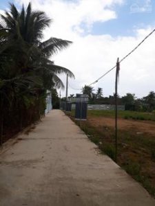 Đất nền khu dân cư mới Bình Điền 1