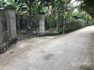 Bán đất nền – đất vườn tại ấp Tân Thuận Bình Đức Châu Thành Tiền Giang lh: 0981339689
