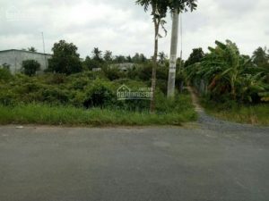 Chính chủ cần nền nhà Đông Hòa Hiệp Cái Bè Tiền Giang đường xe tải cách trung tâm thị trấn 5 phút