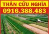 Bán đất Thân Cửu Nghĩa, gần đại học Tiền Giang DT 1000m2, giá bán 1.5tỷ. Chính chủ: 0916.388.483