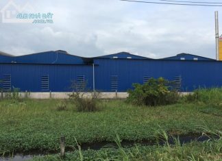 Bán kho xưởng 4800m2 ở quốc lộ 50,Mỹ Tho,Tiền Giang