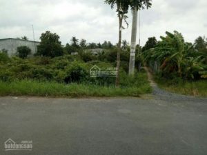 Chính chủ cần bán đất mặt tiền Đông Hòa Hiệp