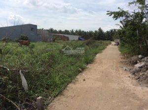 Cần bán đất ở đường TL864, TP Mỹ Tho DT 1.600m2 đất trồng cây lâu năm. Cần tiền gấp bán lại giá tốt
