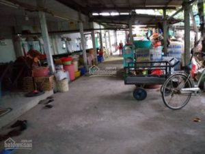 Chính chủ cần bán đất thổ cư diện tích lớn tại TT Vàm Láng, H. Gò Công Đông, Tiền Giang
