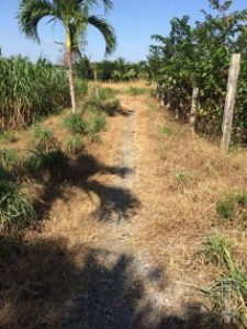 Bán 2266 m2 đất xã Tân Mỹ Chánh, TP Mỹ Tho, Tiền Giang. LH: 0913117663