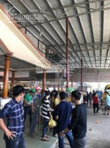 CHÍNH CHỦ ĐẤT MẶT TIỀN QUỐC LỘ 1A ĐOẠN QUA CÁI BÈ – TIỀN GIANG, CHỈ 09 TỶ. LH 0918.435.692
