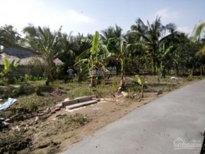 Bán 1 nền, cách TL 876 100m, gần chợ Vĩnh Kim, CT, Tiền Giang