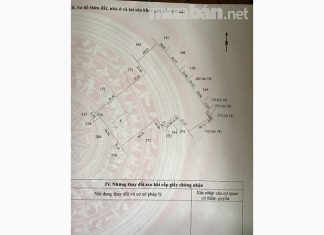 Đất vườn trồng sầu riêng, 1,8ha, cách chợ nổi Cái Bè 1km