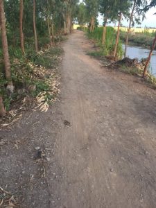 Bán 2,6công đất đường 5m ấp 7, Tam Hiệp, Châu Thành, Tiền Giang