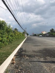 Cho Thuê đất dài hạn Châu Thành, Tiền Giang. 0915696326