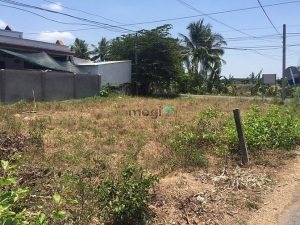 bán đất 2 mặt tiền lộ nhựa xã tân thuận bình huyện chợ gạo tiền giang