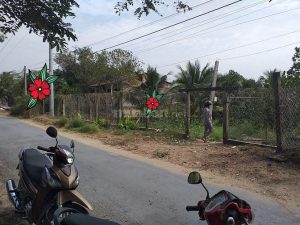 Bán 2 công đất mặt tiền lộ nhựa Song Bình Chợ Gạo
