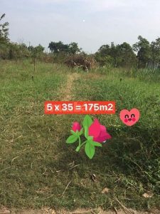 Bán đất Thị Xã Gò Công, Ấp Hưng Hòa, xã Long Hưng, TX. Gò Công 175m2