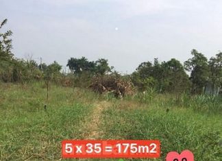 Bán đất Thị Xã Gò Công, Ấp Hưng Hòa, xã Long Hưng, TX. Gò Công 175m2