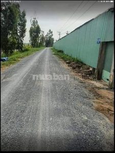 Bán mảnh đất đường xe hơi xã Long Bình, GCT, TG