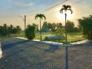 Đất nền tiền giang giá rẻ đầu tư sinh lời