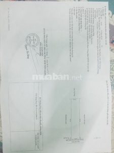 Bán 13 công đất trồng lúa , Huyện Tân Phước, tiền giang