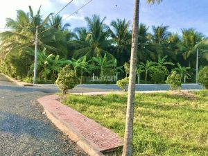 Bán đất nền cổng sau khu công nghiệp tân hương giá rẻ