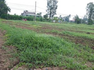Bán mảnh đất mặt tiền đường nhựa xã Bình  xuân thị xã gò công.
