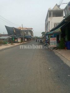 Chính chủ bán đất mặt tiền tỉnh lộ 861 tại Mỹ Trung, Cái Bè,