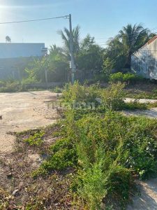 —–Đất ấp Long Hòa B Đạo Thạnh, Mỹ Tho—–