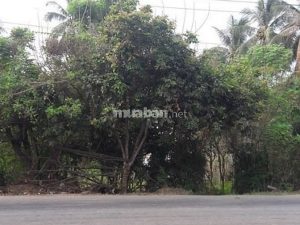 Bán đất ĐT864 xã BĐ, 2 MT trước sau, 6mx63m giá 4,5 tỷ hoặc 14mx63m