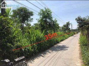 Bán đất làm dự án 5000m2 đường bê tông ( ô tô ) giá 15 tỷ thương lượng mạnh !