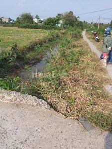 Bán mảnh đất cây lâu năm xã đồng thạnh, gò công tây, tiền giang