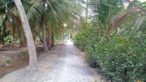 Bán mảnh đất thổ xe hơi tới đất xã bình nình, chợ gạo, tiền giang
