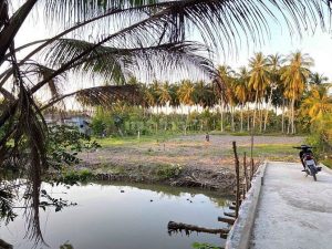 Cần bán 4000m2 Đất thổ vườn, Chợ Gạo, Tiền Giang