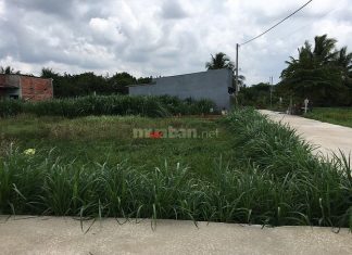 Chính Chủ Bán Gấp Lô Đất Giá Rẻ Thành phố Mỹ ThoTIền Giang 200m²