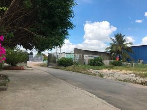 Cho thuê đất mặt tiền diện tích 20.000 m2