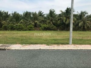 Nền Sau Kcn Tân Hương Full Thổ Cư 100% Đường 16 Chỗ Vi Vu