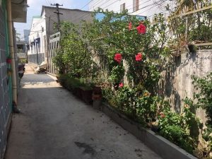 —–Nhà cấp 4, sau trường Chính trị—–