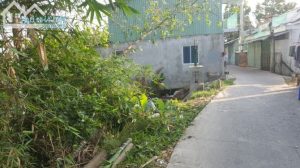 Nhà đất bờ kè cho thuê, xã Đạo Thạnh. Mỹ Tho, TG.