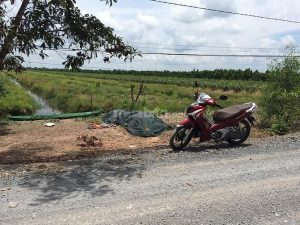 Bán 15360m2 đất CLN xã thạnh tân huyện tân phước tiền giang
