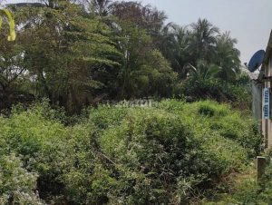 Cần Bán Gấp Đất Thổ Cư Gần Chợ Thạnh Trị 316.3m