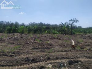 ? Còn 2 nền Đất gần chợ Mỹ Phong, Mỹ Tho, TG. Cách đường nhựa 100m 1 đường thẳng