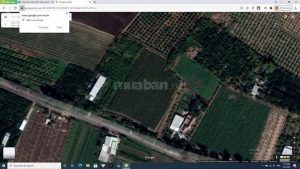 Đất chính chủ Ấp Mỹ Phú, xã Mỹ Phong, Tiền Giang