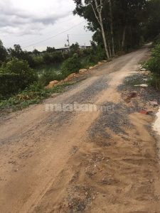 2,2hecta vườn huyện lộ 44B,Phước Lập,Tân Phước,Tiền Giang