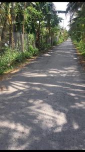 1,1công vườn mặt tiền huyện lộ 34,Long Hưng,Châu Thành,Tiền Giang