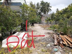 Bán 2200m2 đất chỉ 780 triệu gần Chợ Song Bình, Chợ Gạo Tiền Giang.