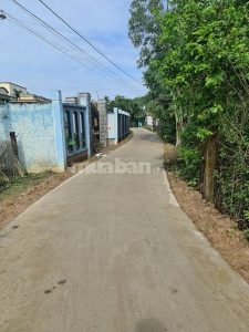 Bán đất có thổ cư đường xe hơi tại ấp Xóm Thủ, xã Bình Tân, huyện Gò