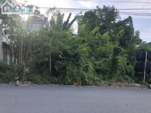 Bán đất thổ cư mặt tiền đường Phùng Há,cách tỉnh lộ 864 200m,ấp Bình Tạo,Trung An