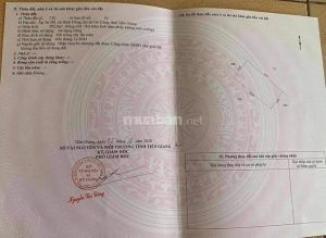 Cần bán đất 3800m2 thổ cư.  Ngay trạm thu phí cầu mỹ lợi 2 mặt tiền