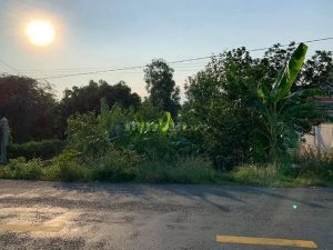 Hưng Thạnh, huyện Tân Phước,TG dt 287.5m2 mt ĐT865