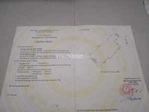 Cần bán 2 lô đất – đường nhựa tại Đăng Hưng Phước, Chợ Gạo, Tiền Giang
