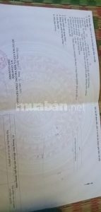 Chính chủ bán lô đất mỹ hạnh trung gần lộ tránh 868b 70tr mét ngang